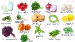 Vegetable and Non-Vegetable Vocabulary