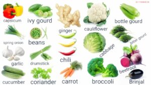 Vegetable and Non-Vegetable Vocabulary