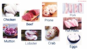 Non-Vegetable Vocabulary