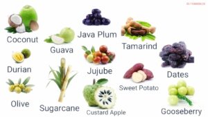 Exotic Fruit Vocabulary A Comprehensive Guide for English Learners