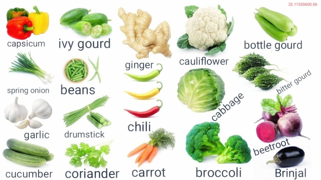 Vegetable and Non-Vegetable Vocabulary